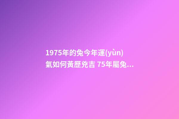 1975年的兔今年運(yùn)氣如何黃歷兇吉 75年屬兔的運(yùn)氣今年怎么樣|75年屬兔的運(yùn)氣今年怎么樣-第1張-觀點(diǎn)-玄機(jī)派